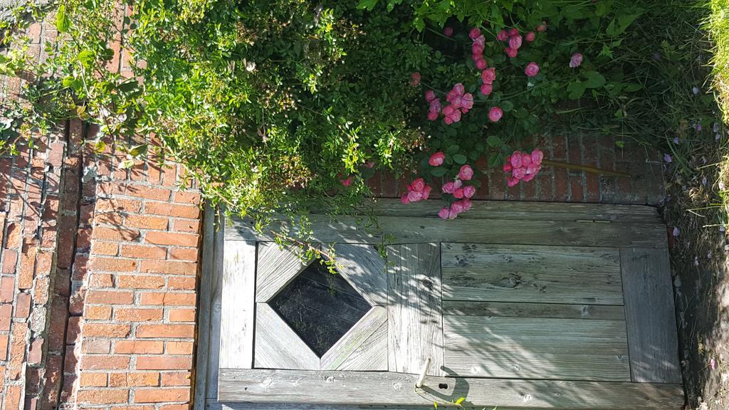 Ferienwohnungen Zollhaus Utlandshoern Norden Bagian luar foto